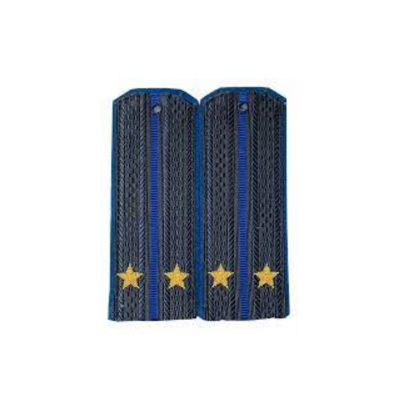 Погоны ФСБ с вышитыми звездами, синие, лейтенант (картон)